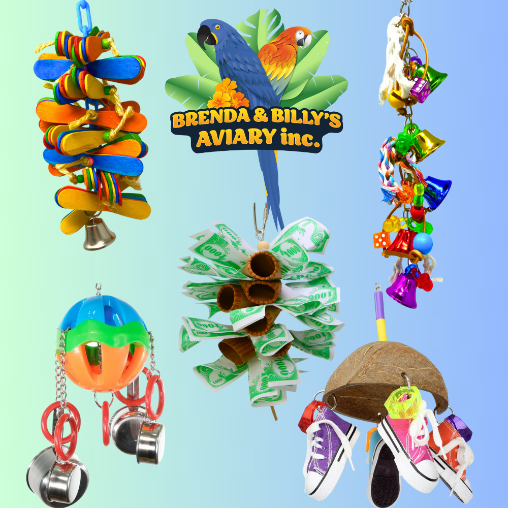 Bird toys petco clearance