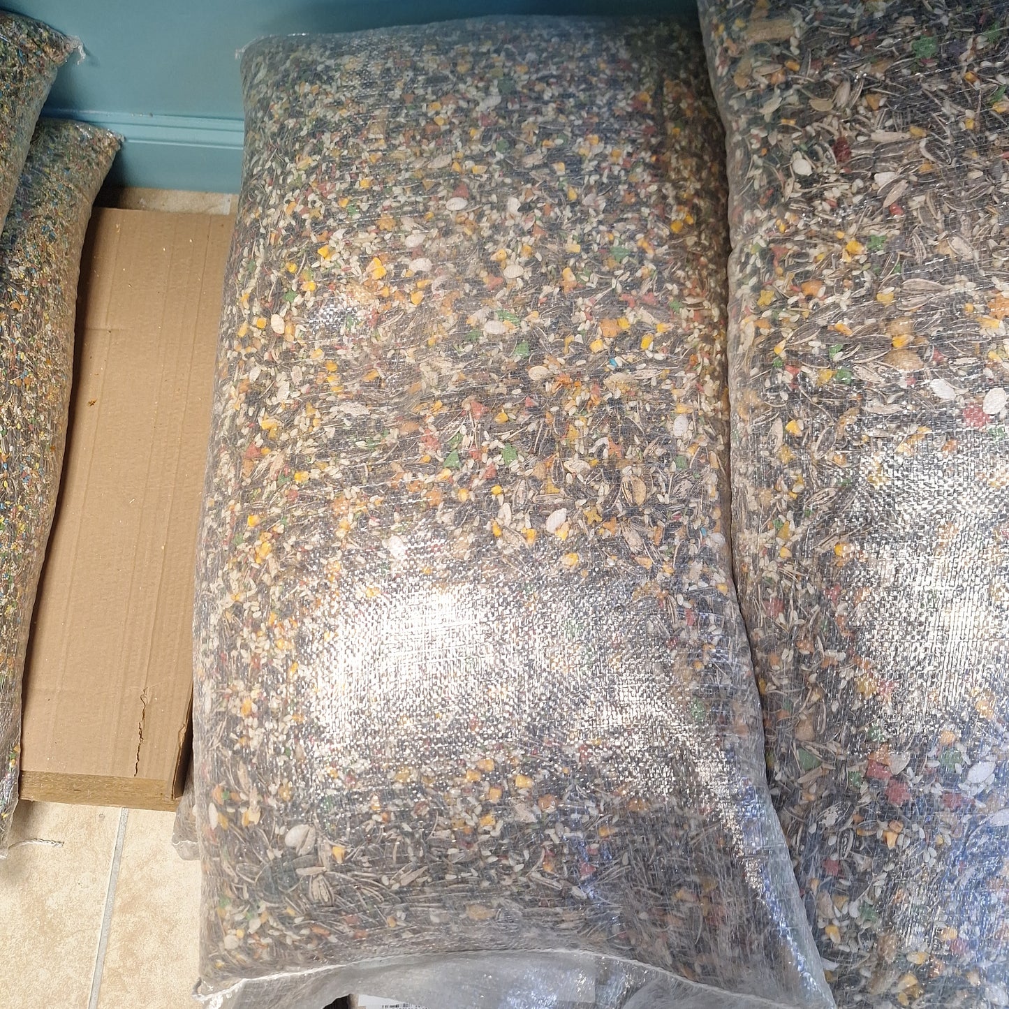 PARROT40LBV