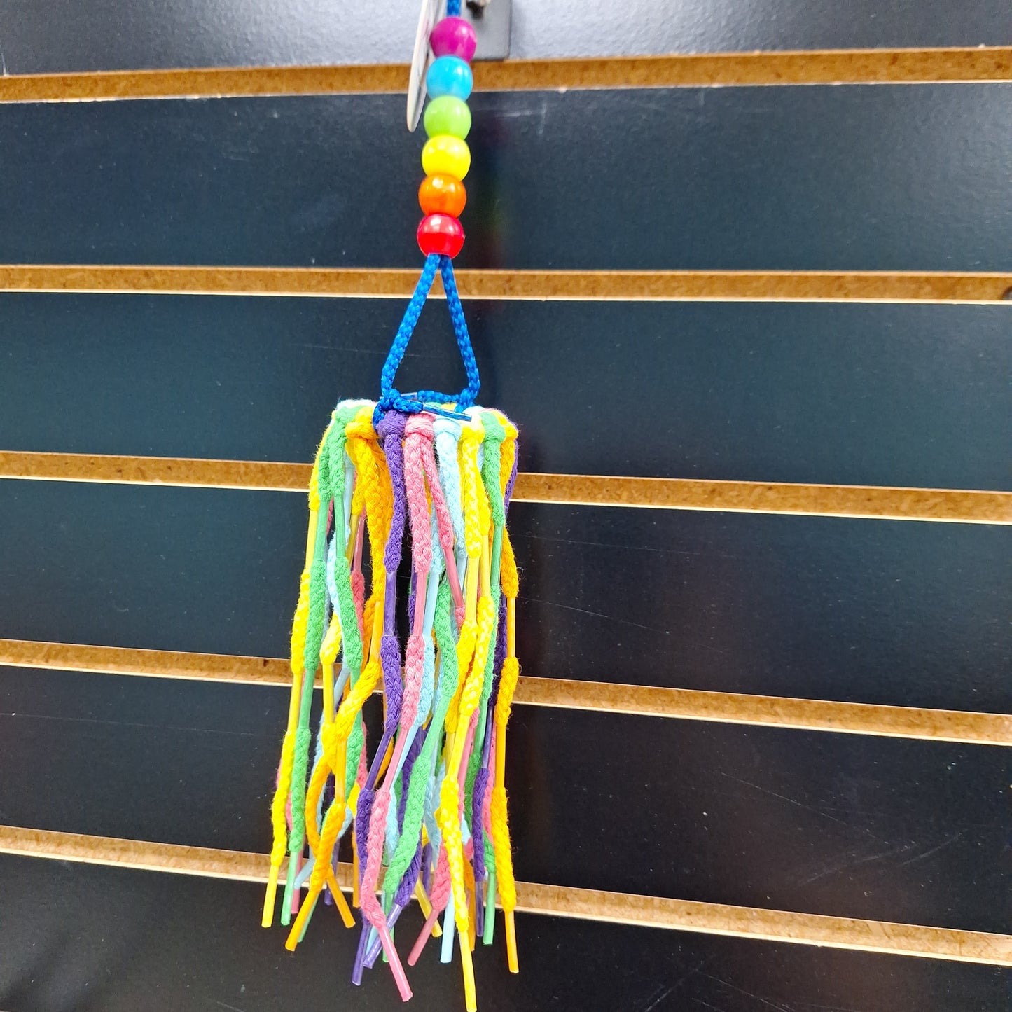Sm. Rainbow aglets