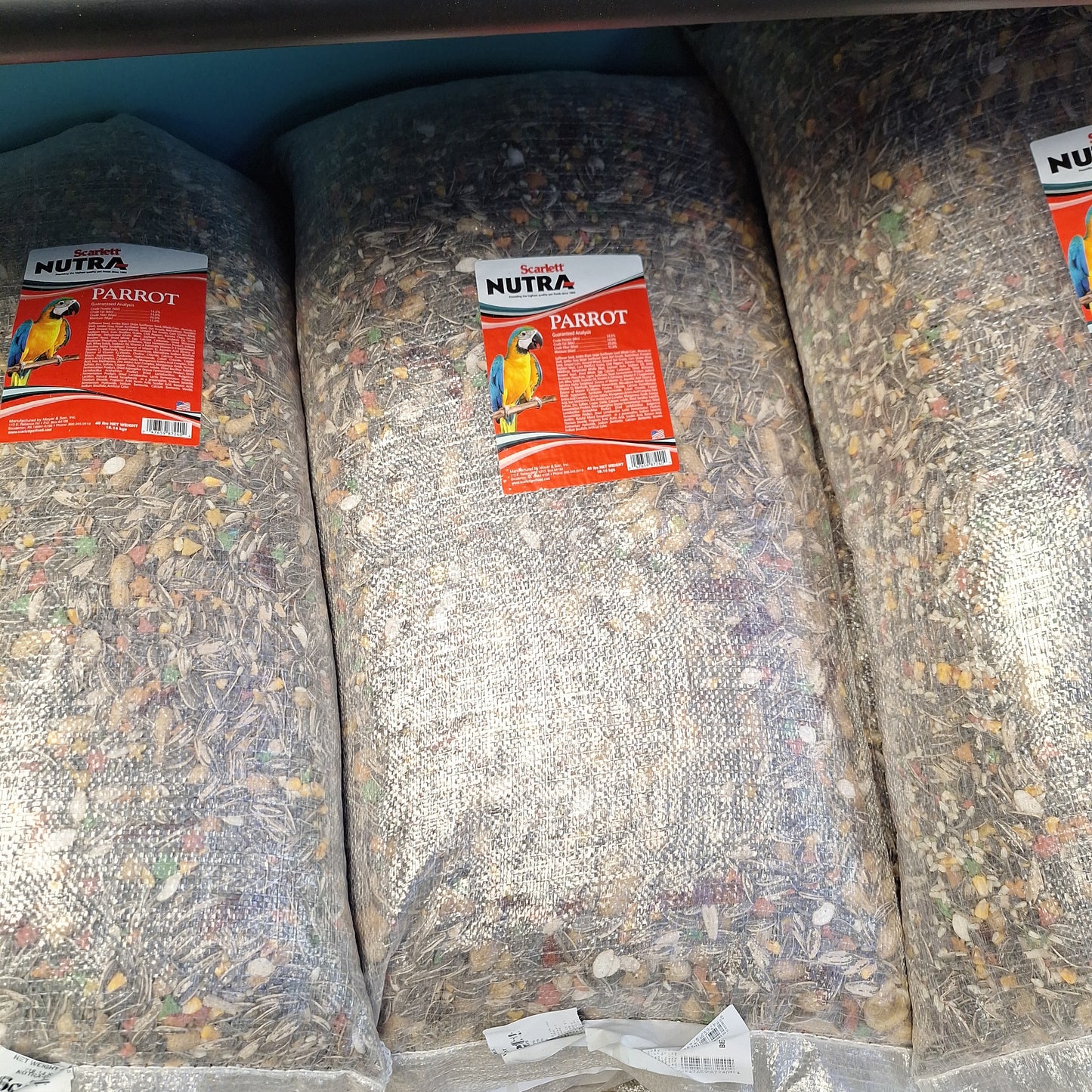 Parrot vita 40lb