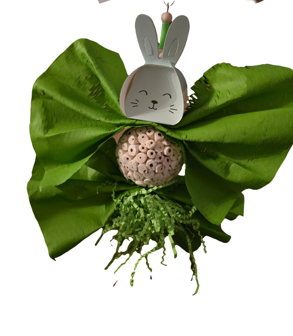 Sola Bunny green 2579