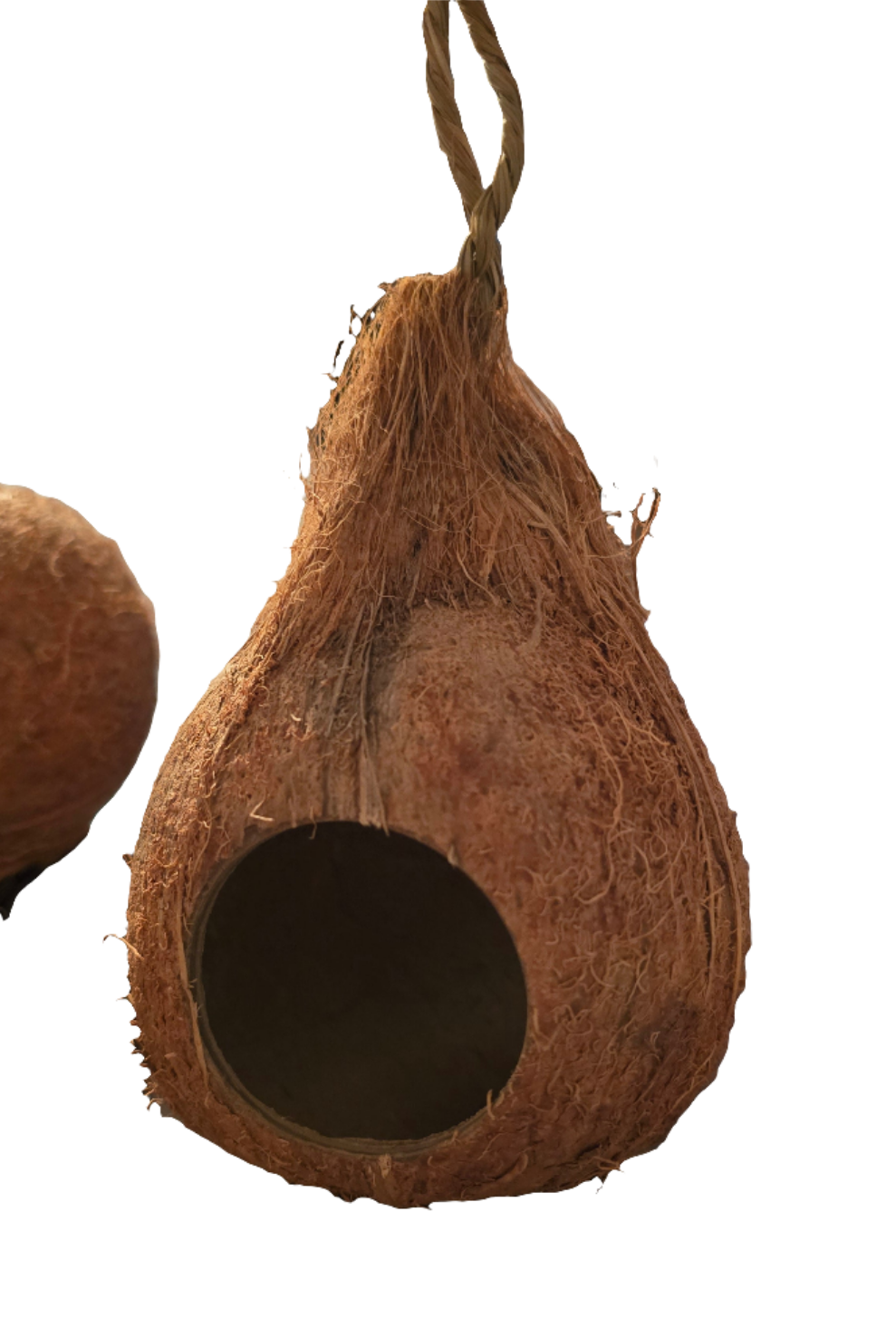 Coco hut 872