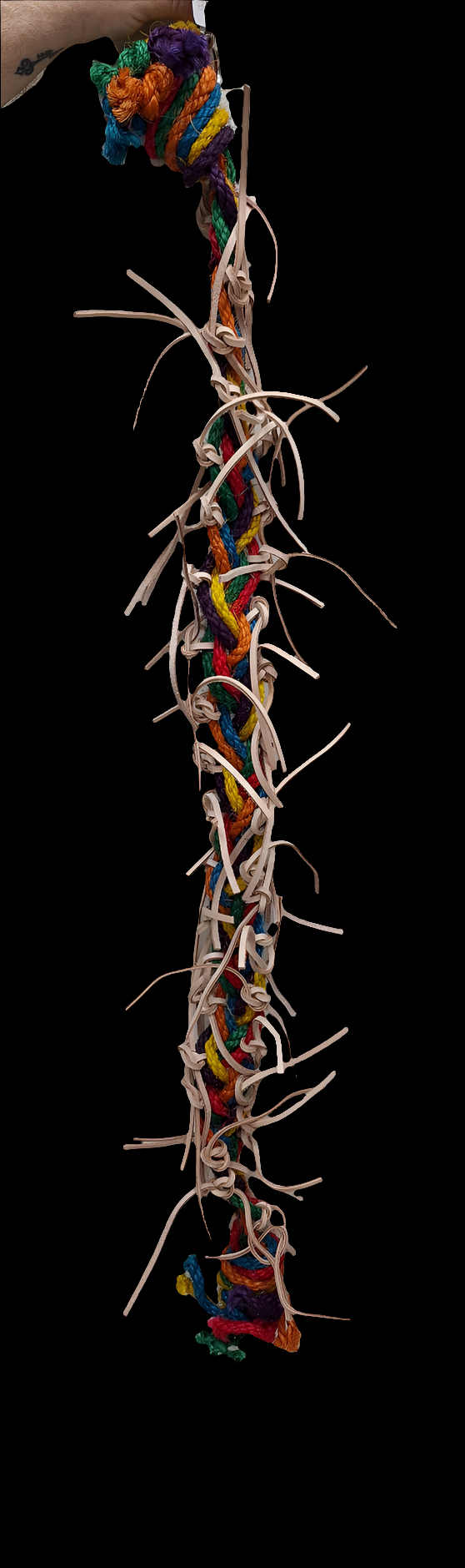 HugeSpiny 3229