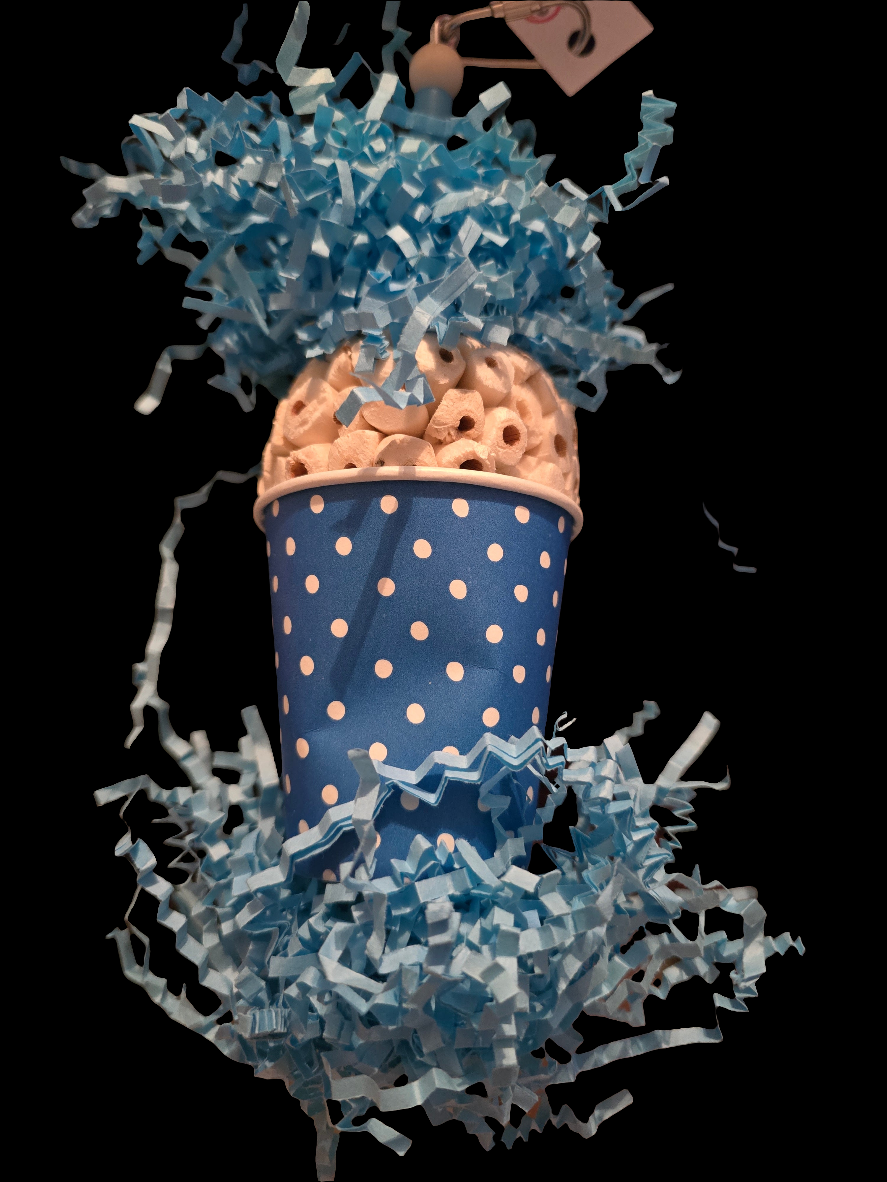 Spotty Sola foraging 2355