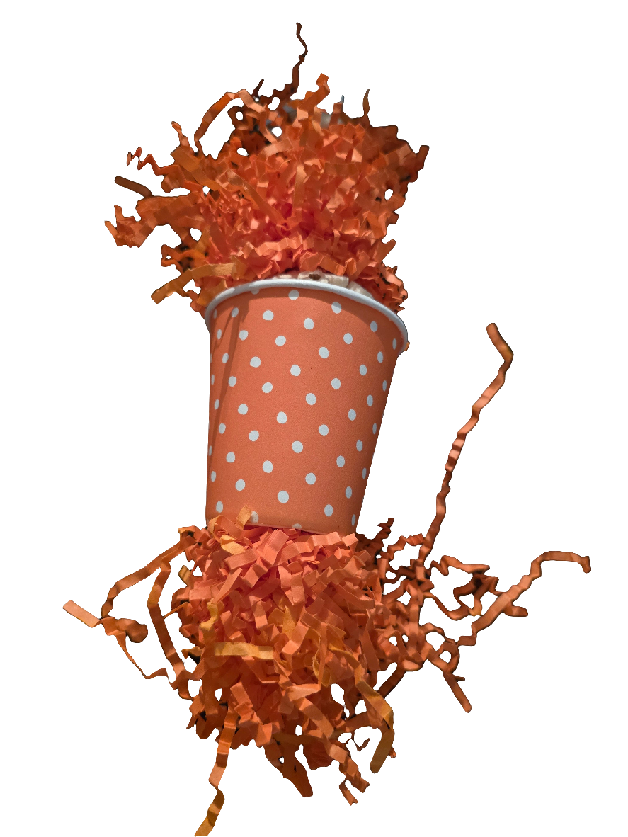 Spotty Sola foraging toy