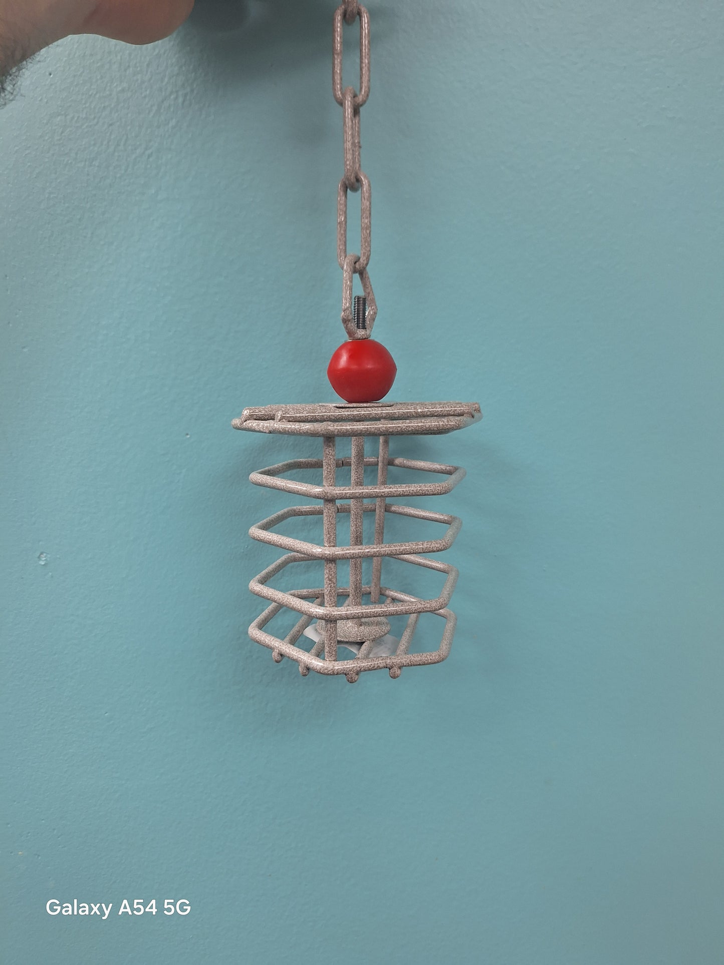 Small metal foraging cage