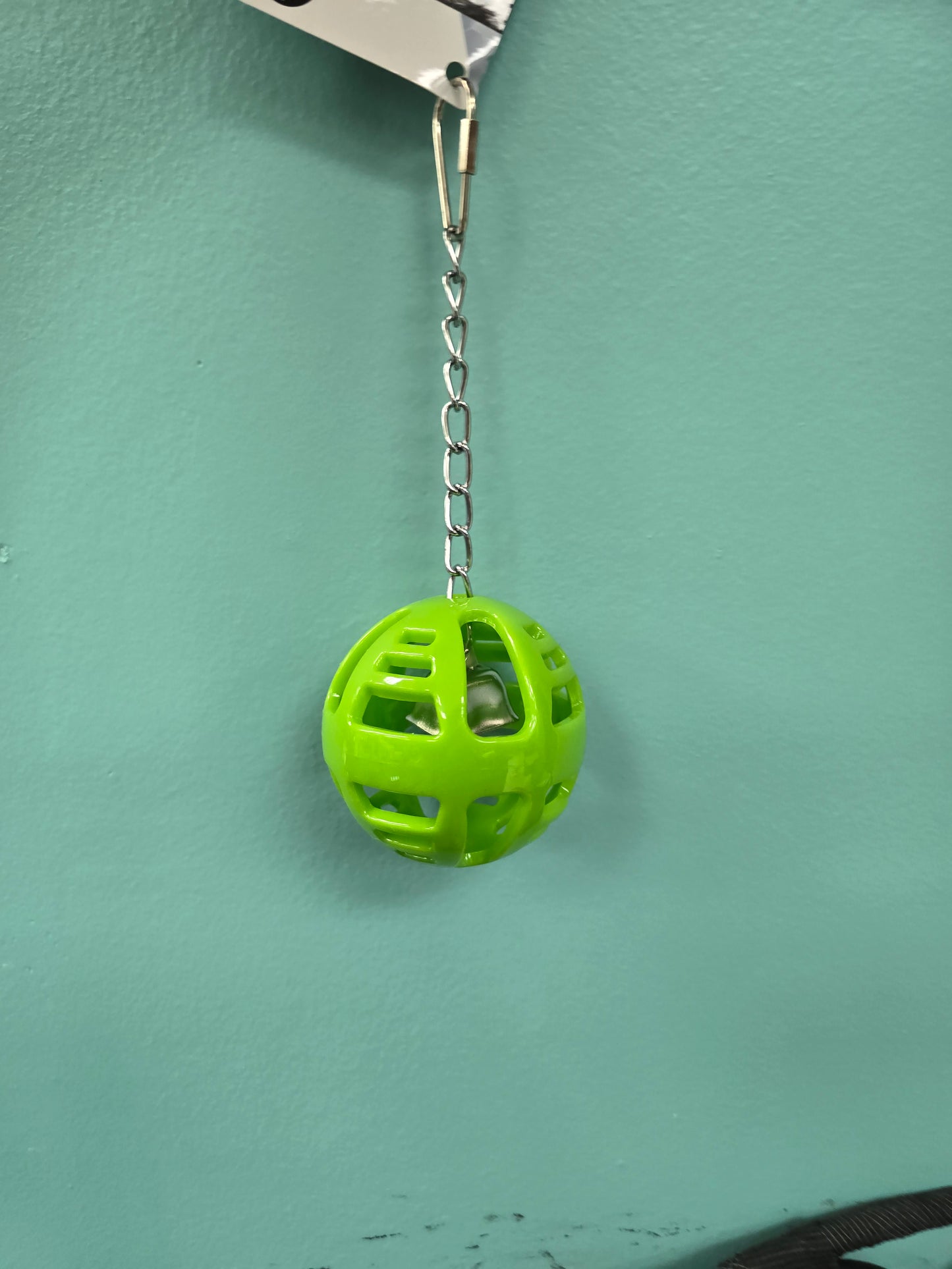 Holi Foraging Ball with Bell