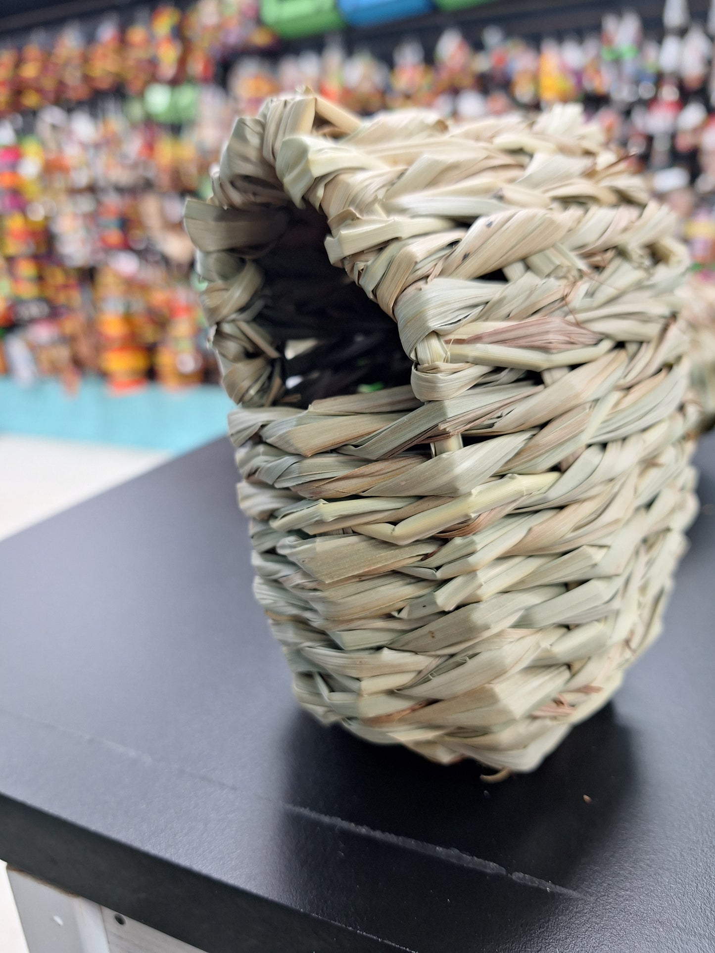 9040 Parakeet Nest
