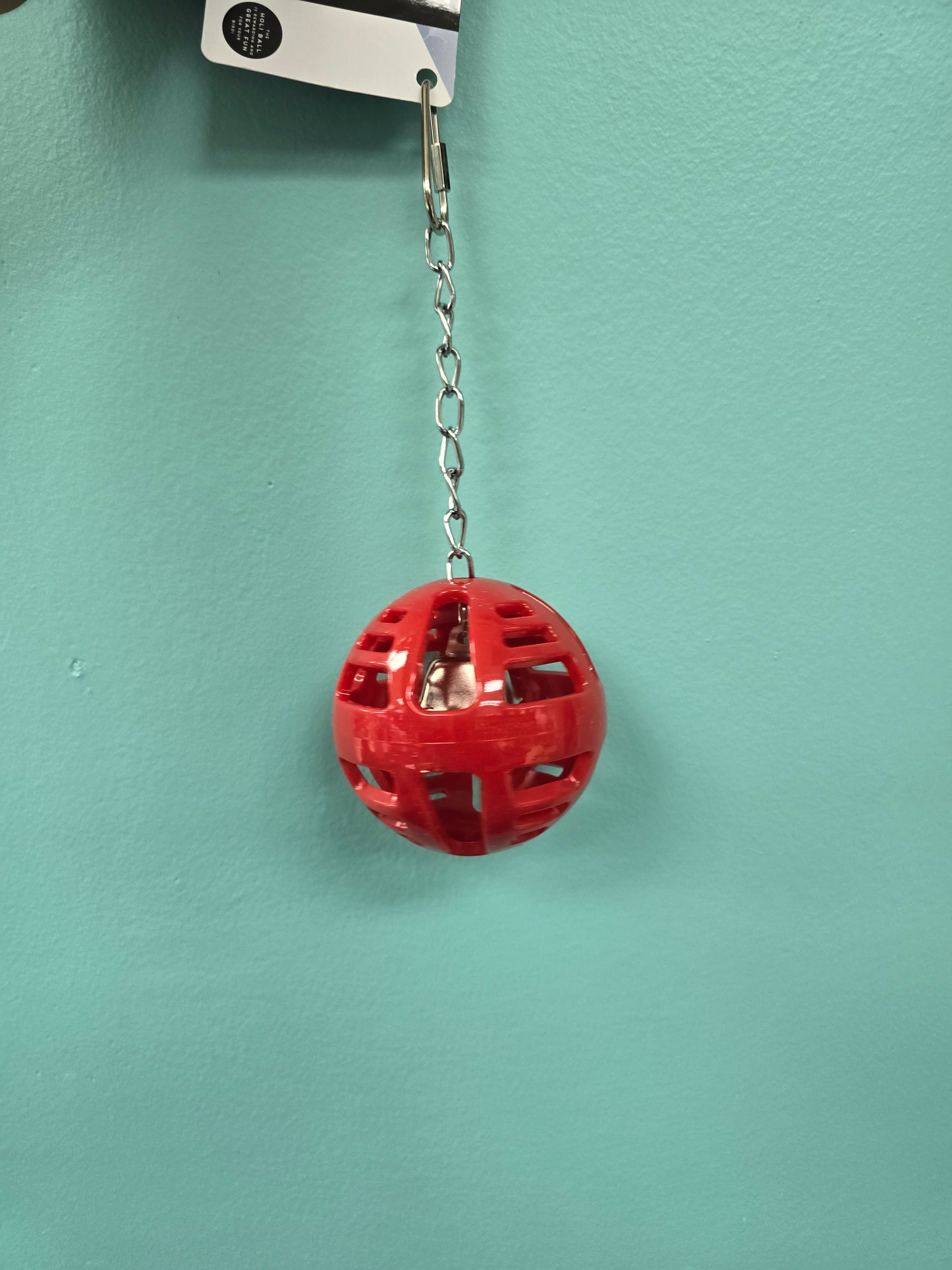 Holi Foraging Ball with Bell