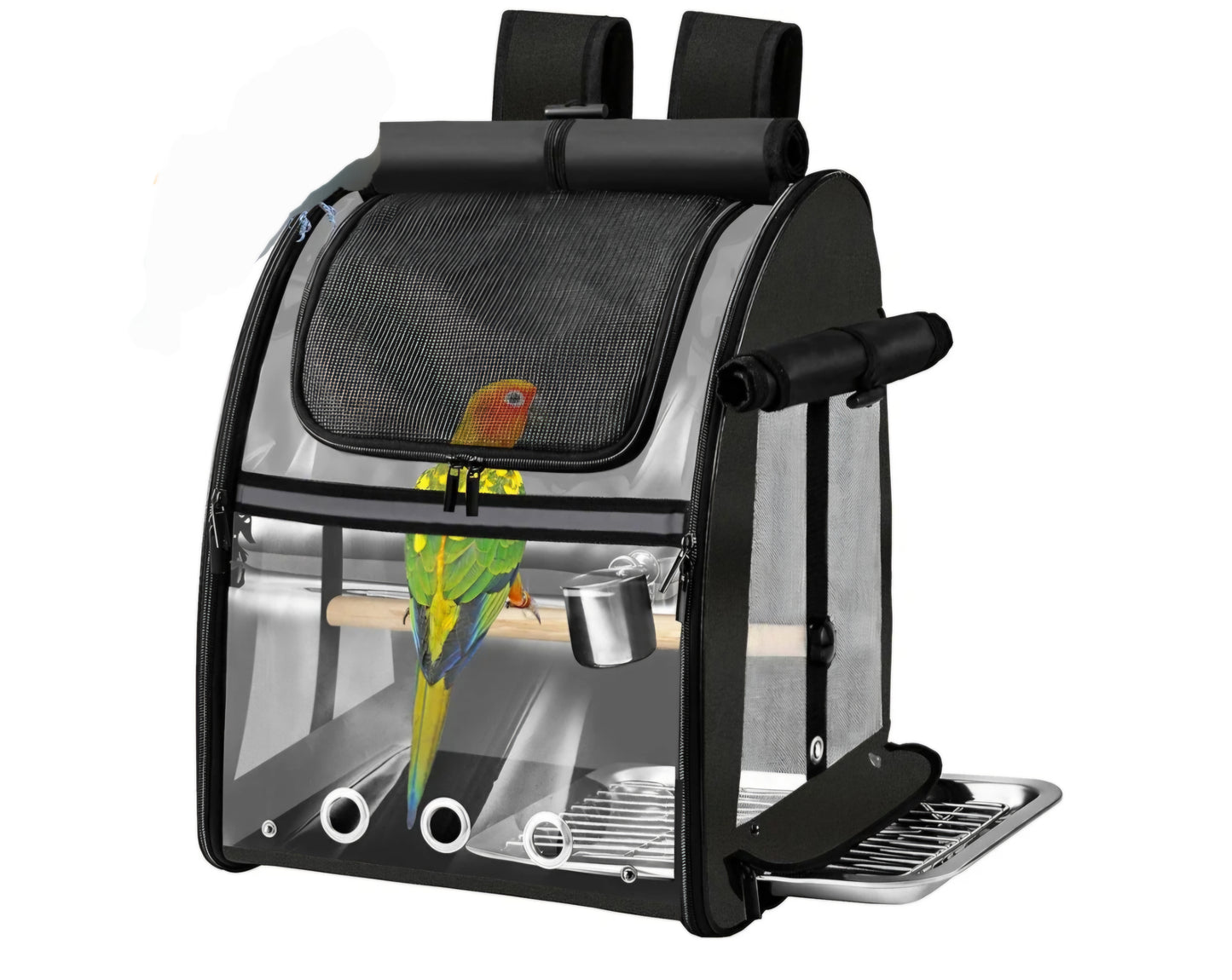 Backpack Carrier
