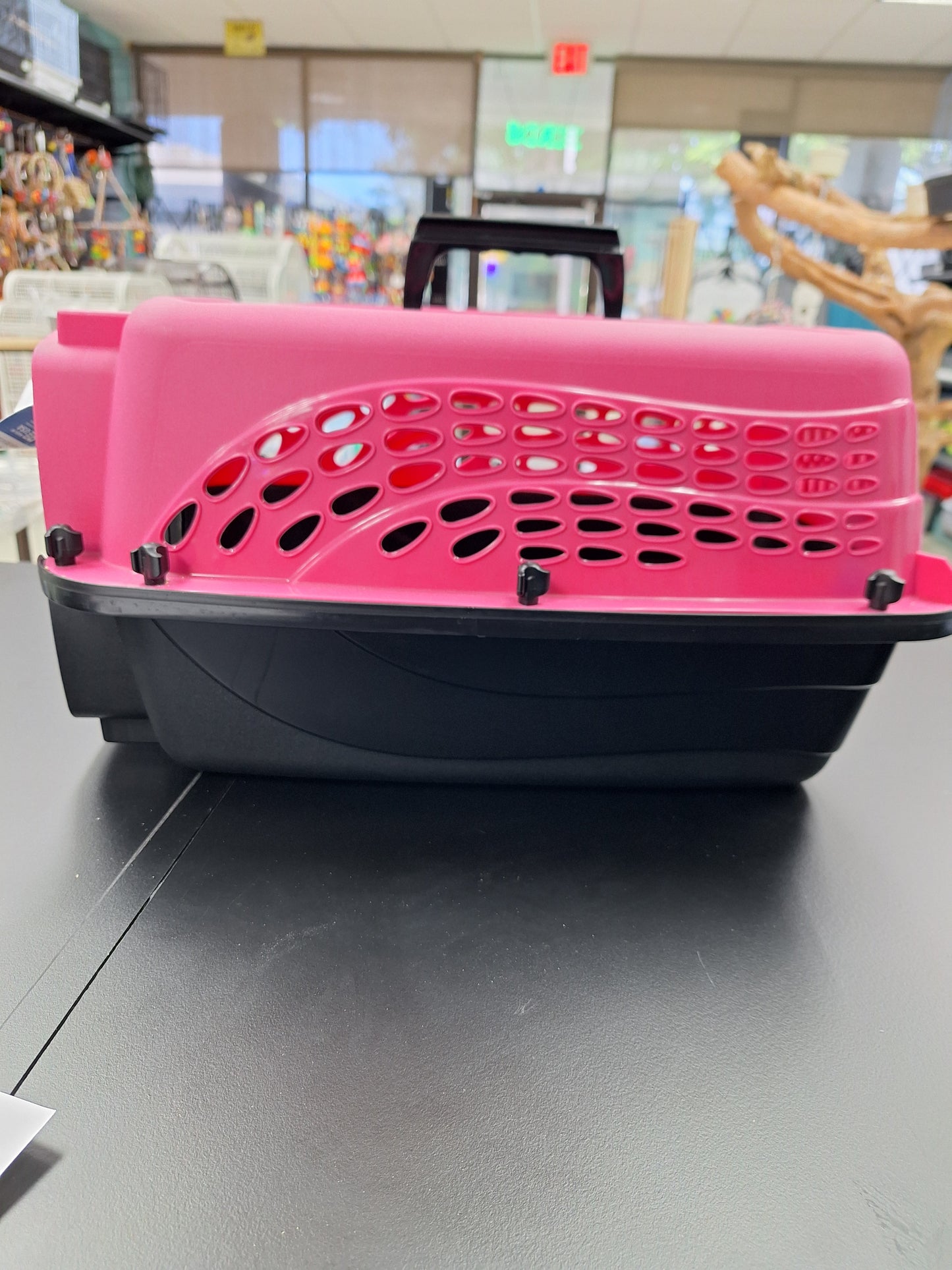 Petmate travel carrier rose