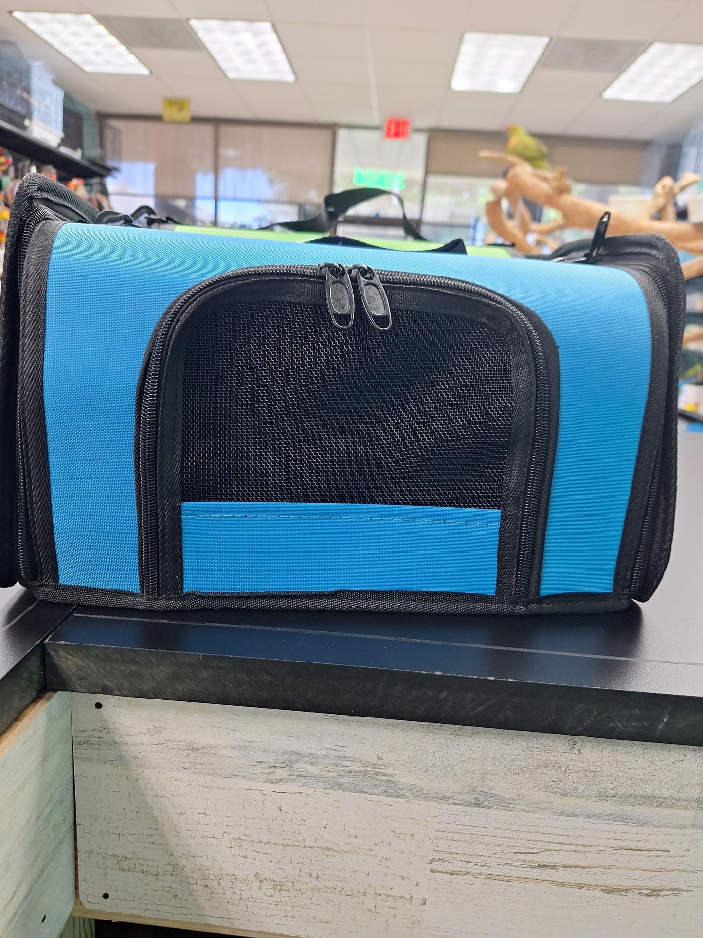 Kaytee pet carrier md