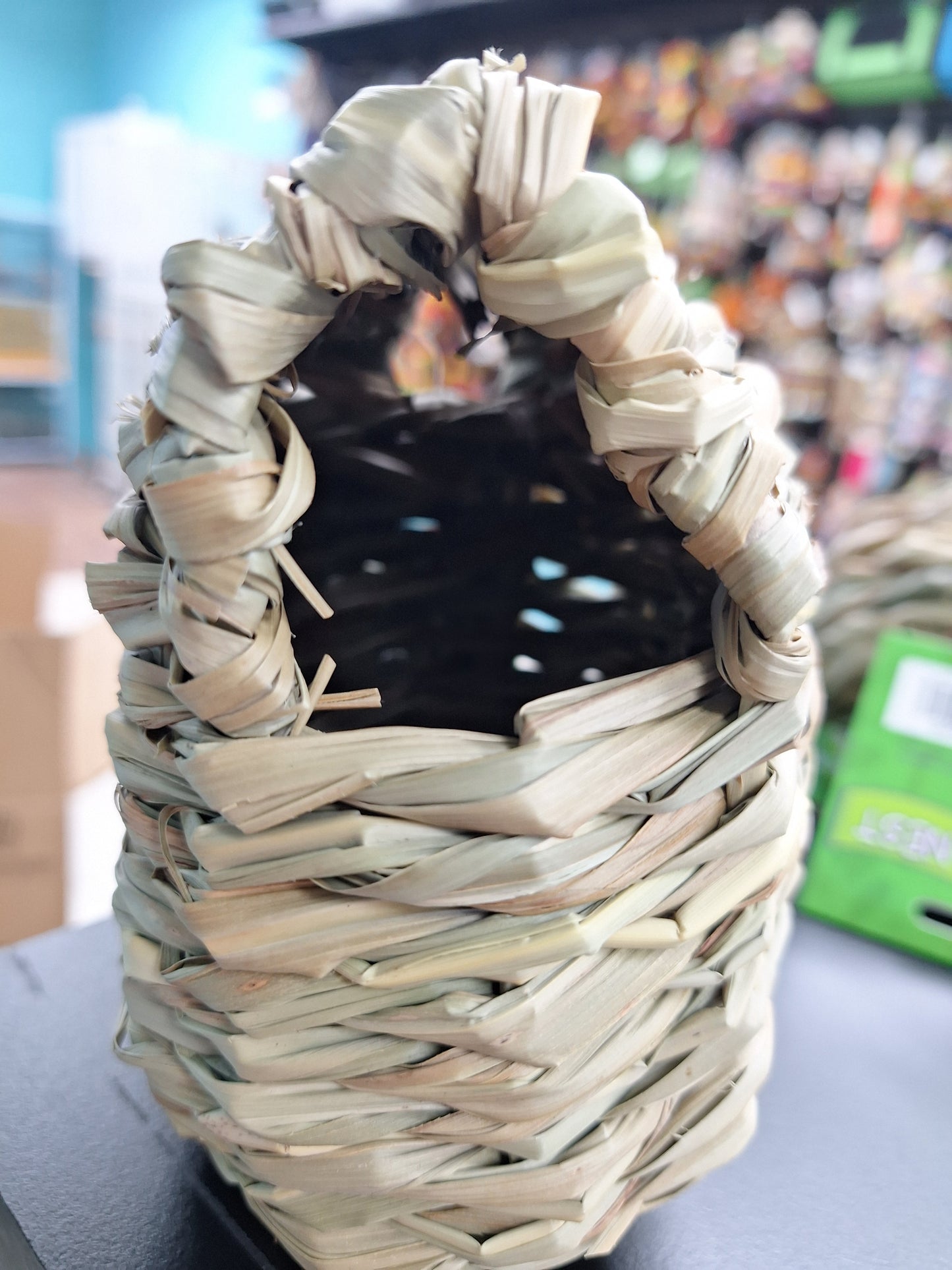 9040 Parakeet Nest