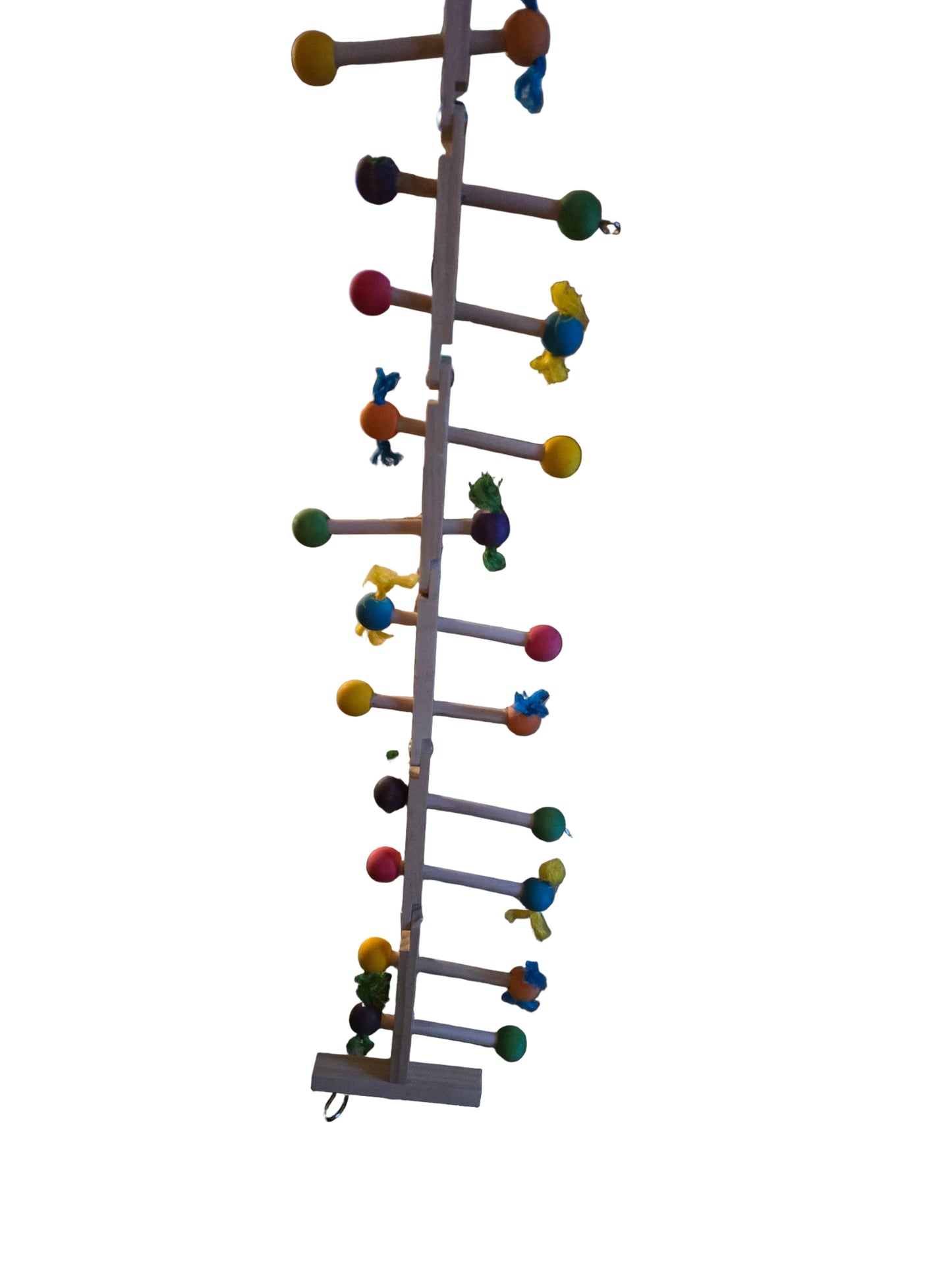 Small Bird Ladder