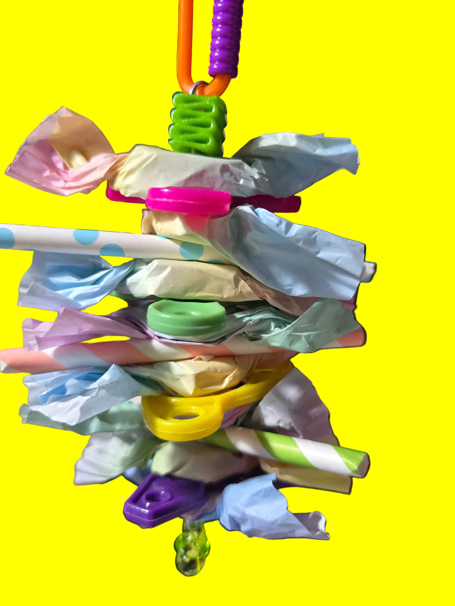 Sugar Burst PT