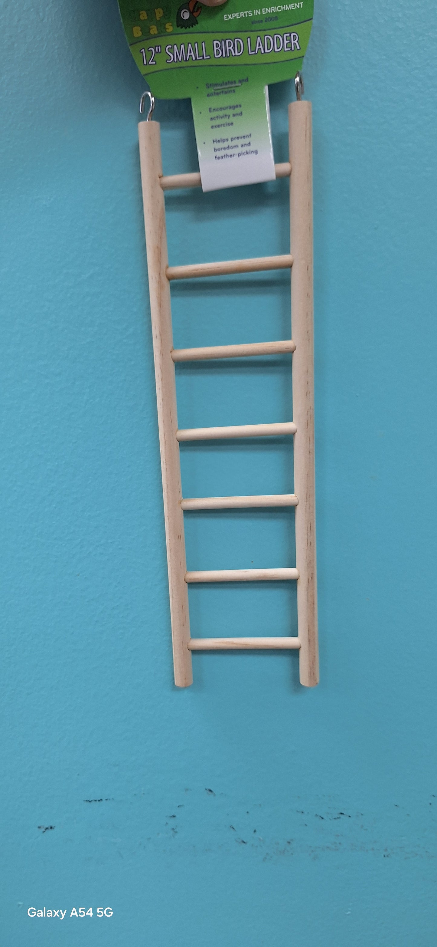 12" Bird Ladder