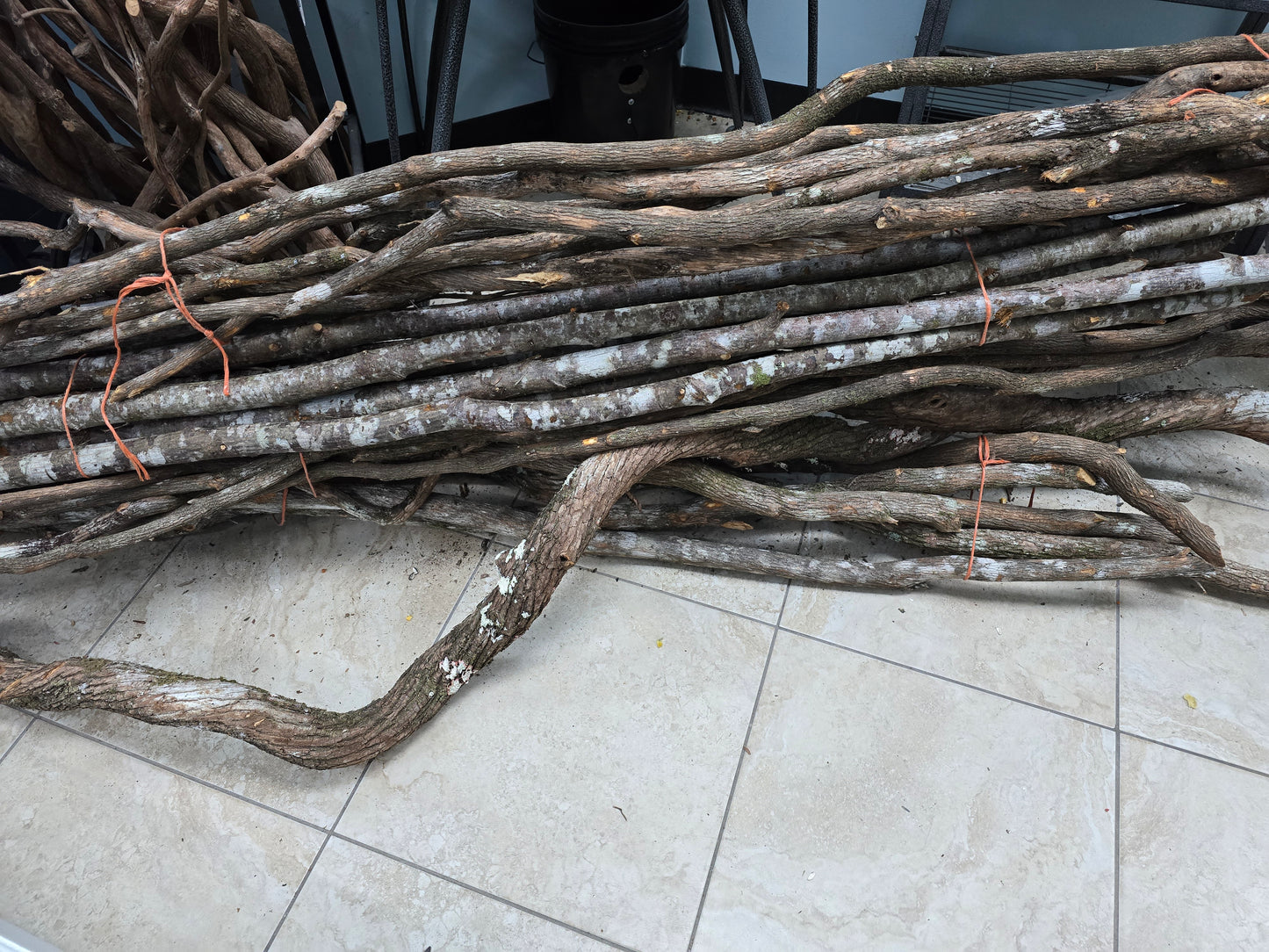 Perches -natural dragonwood and baywood