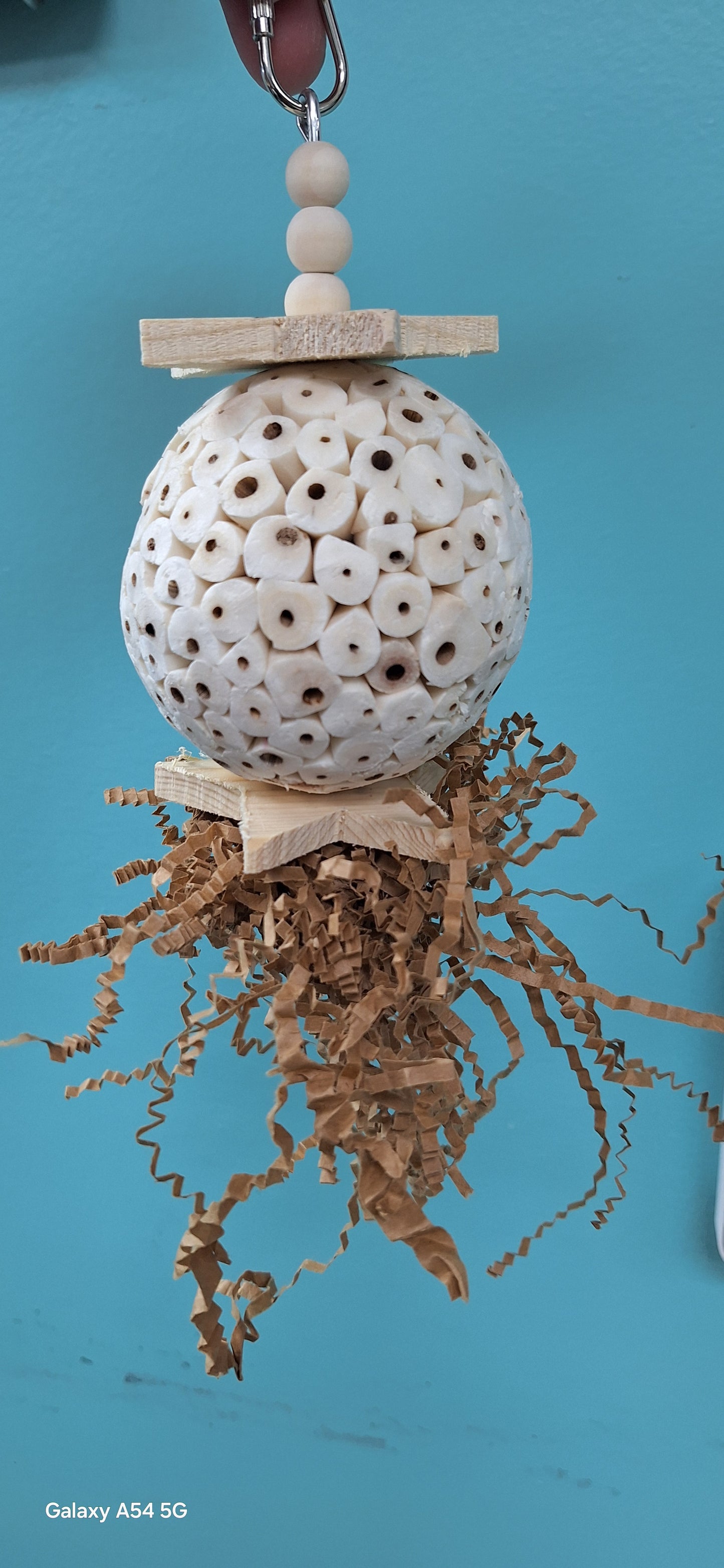 2846 NATURAL SOLA STAR