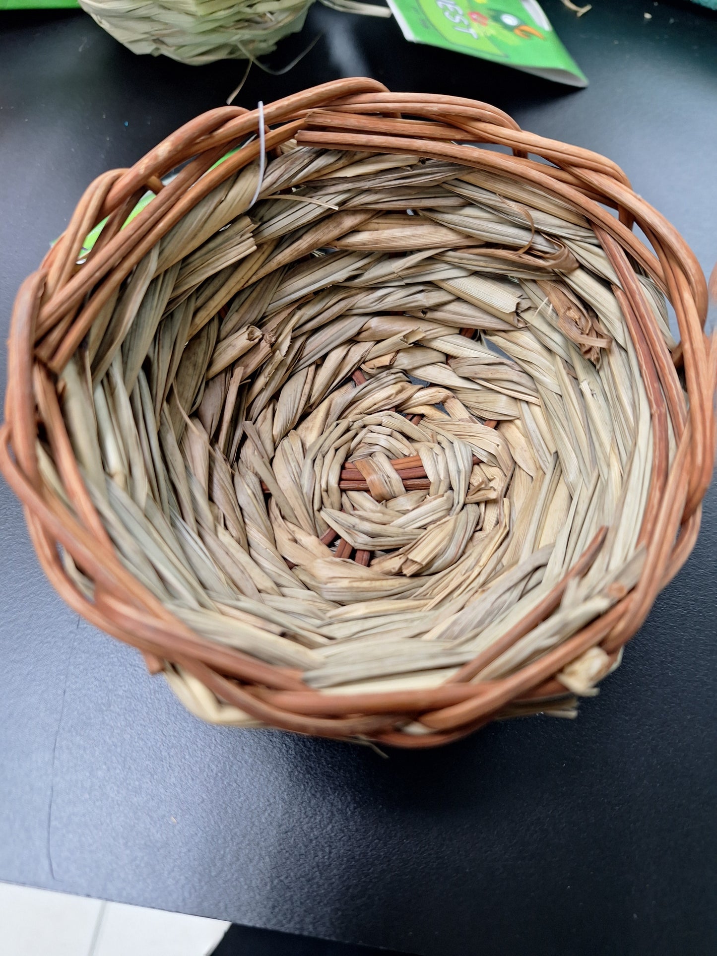 Nest for Canary lg