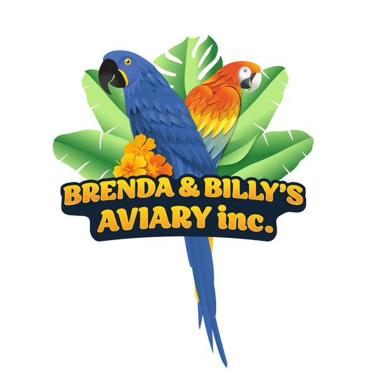 Why Brenda and Billy's Aviary is the Best Place to Buy Birds in South Florida