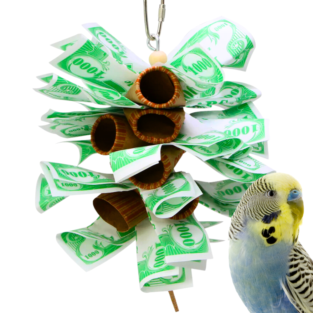 1018 MONEY STACK – Brenda & Billy's Aviary, Inc.®
