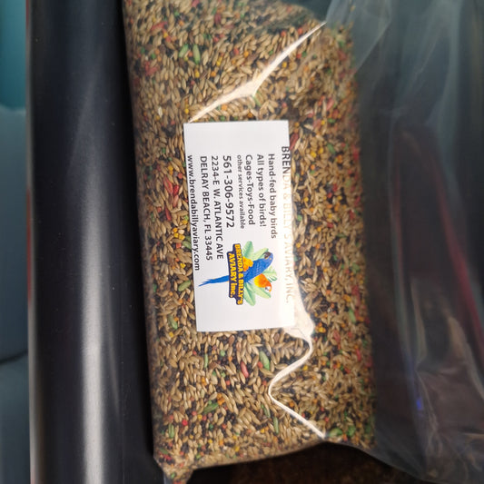 Canary 2LB Vita