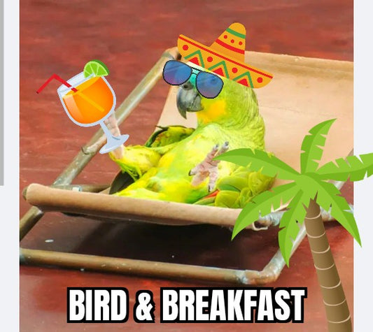 Boarding large birds