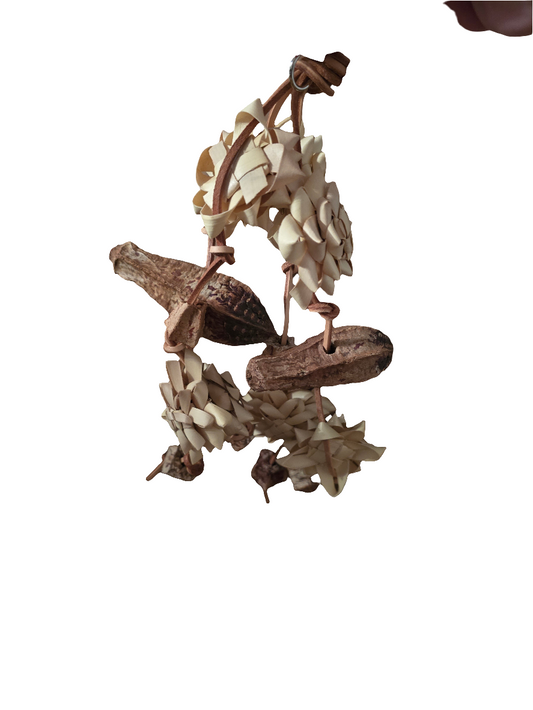 Medium palm & pod forage cluster 1061