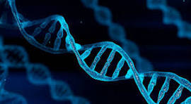 DNA