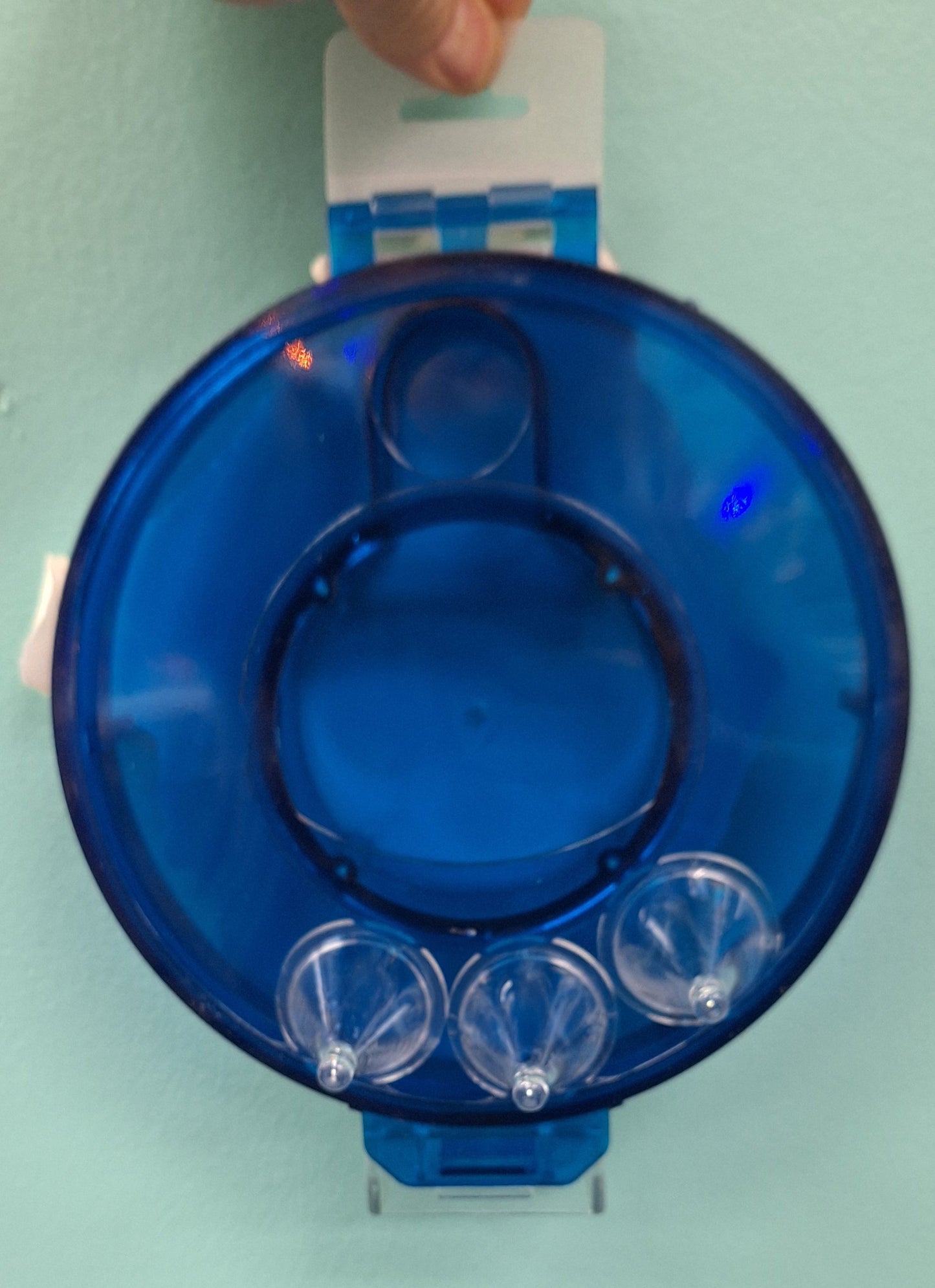 Mastermind Circle foraging toy
