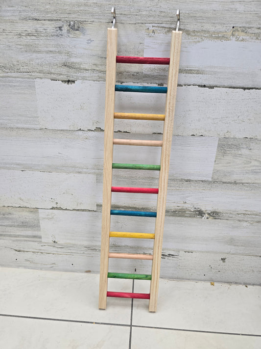 24 ladder