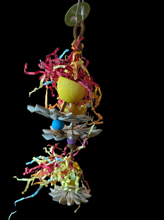 Dazzeling Daisies  HB1525