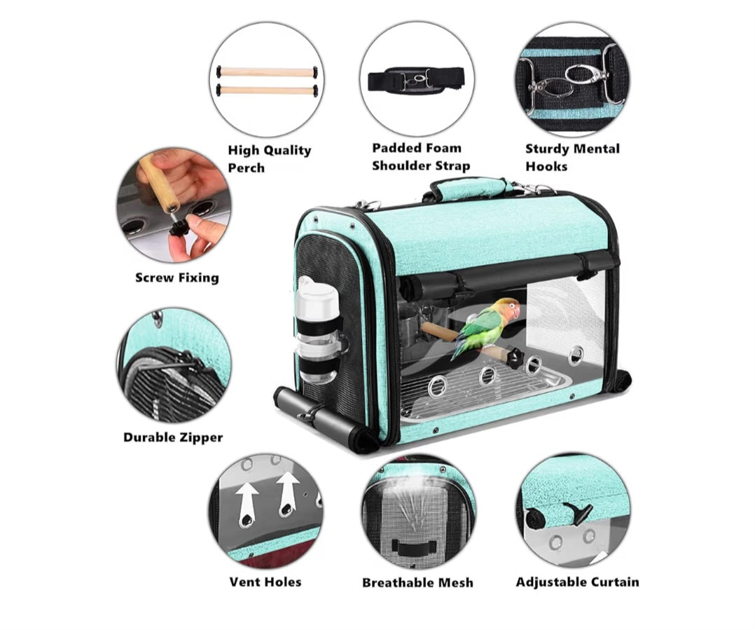 Travel Backpack