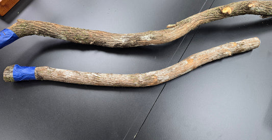 Perches -natural dragonwood and baywood