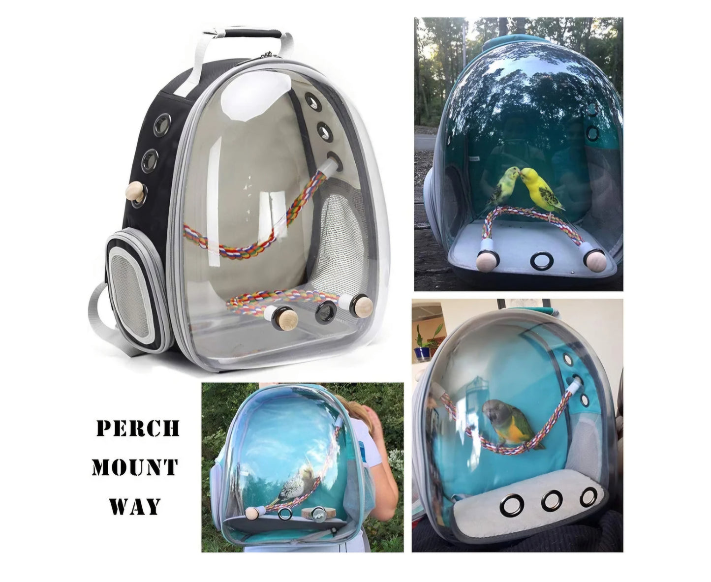 Birdie Bubble Backpack carrier