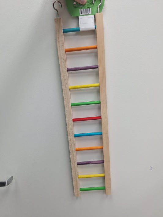 26in Ladder