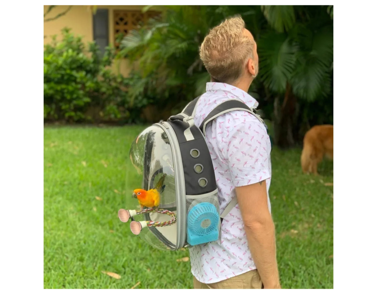 Birdie Bubble Backpack carrier